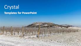  Presentation with czech republic - Presentation theme with winter-vineyard-near-mikulov-palava background and a teal colored foreground