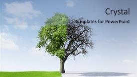  Presentation with change - Slide set consisting of winter weather - change of seasons background and a  colored foreground