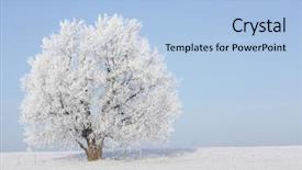  Presentation with processing - Slide set featuring winter weather - frozen tree in field background and a  colored foreground