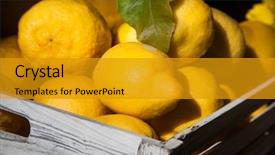  Presentation with lemons - Cool new presentation theme with winter wemon - basket of fresh lemons backdrop and a  colored foreground