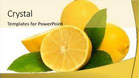  Presentation with tea leaves fresh green leaf - Slide set consisting of winter wemon - fresh ripe lemon with green background and a yellow colored foreground