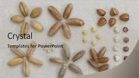  Presentation with millet - Presentation design enhanced with beautiful hispanic woman with a very sad expression on a dark red background background and a wine colored foreground