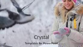  Presentation with give - Audience pleasing PPT layouts consisting of winter women give food to the pigeon backdrop and a light gray colored foreground