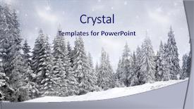  Presentation with winter wonderland - Beautiful PPT theme featuring winter wonderland - christmas background with snowy fir backdrop and a sky blue colored foreground