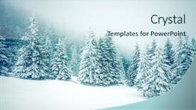  Presentation with winter wonderland - Colorful slides enhanced with winter wonderland - christmas background backdrop and a sky blue colored foreground