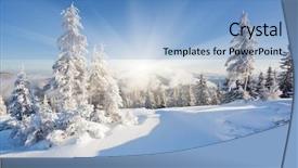  Presentation with winter wonderland - Amazing presentation theme having winter wonderland - frosty and sunny day is backdrop and a light blue colored foreground