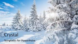  Presentation with happy new year - Beautiful slide deck featuring winter wonderland - great white spruces glowing backdrop and a light blue colored foreground