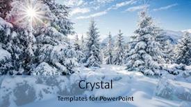  Presentation with happy new year - Cool new PPT layouts with winter wonderland - majestic white spruces glowing backdrop and a light blue colored foreground