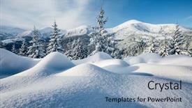  Presentation with new world order - PPT theme enhanced with winter wonderland - majestic white spruces glowing background and a teal colored foreground