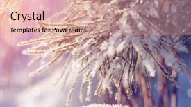  Presentation with winter wonderland - Slides enhanced with winter wonderland scene background landscape background and a lemonade colored foreground