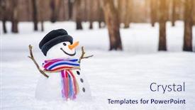  Presentation with winter wonderland - Amazing presentation design having winter wonderland with a funny backdrop and a sky blue colored foreground