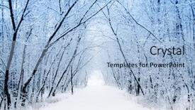  Presentation with winter wonderland - Presentation with winter background and a light blue colored foreground