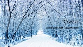  Presentation with winter wonderland - Slides featuring winter background and a light blue colored foreground