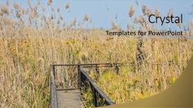  Presentation with marsh - Beautiful slides featuring wintering place for migratory bird backdrop and a  colored foreground