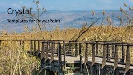  Presentation with bridge - Slides having wintering place for migratory bird background and a  colored foreground