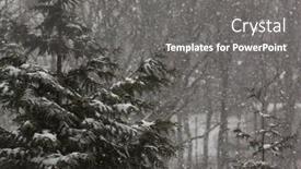  Presentation with falling snow - 