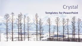  Presentation with hokkaido - Colorful presentation design enhanced with wintry-landscape-in-biei-hokkaido backdrop and a sky blue colored foreground