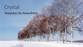  Presentation with hokkaido - Slide set featuring wintry-landscape-in-biei-hokkaido background and a light blue colored foreground