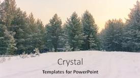  Presentation with winter wonderland - PPT theme featuring wintry landscape scenery with flat county and woods snow landscape background for retro christmas card winter trees in wonderland winter scene christmas new year background winter's tale background and a light gray colored foreground