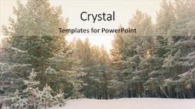  Presentation with winter wonderland - Slide deck consisting of wintry landscape scenery with flat county and woods snow landscape background for retro christmas card winter trees in wonderland winter scene christmas new year background winter's tale background and a lemonade colored foreground