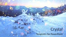  Presentation with winter scene - PPT layouts consisting of wintry scene with snowy tree background and a  colored foreground