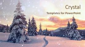  Presentation with winter landscape winter tree - Colorful slide deck enhanced with wintry scene with snowy tree backdrop and a  colored foreground