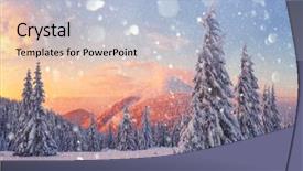  Presentation with bokeh effect blue light - PPT layouts featuring wintry scene with snowy tree background and a  colored foreground