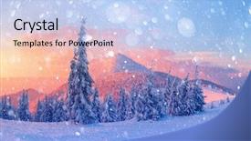  Presentation with winter scene - Cool new slides with wintry scene with snowy tree backdrop and a light blue colored foreground