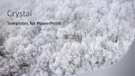  Presentation with hokkaido - Audience pleasing presentation design consisting of wintry-trees-from-above backdrop and a light gray colored foreground