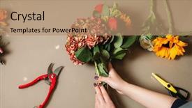  Presentation with garden - Audience pleasing theme consisting of wire art - florist hands cutting rose backdrop and a coral colored foreground