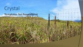  Presentation with livestock - Cool new PPT layouts with wire-fence-in-a-grassy backdrop and a light blue colored foreground