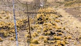  Presentation with pasture - Cool new PPT theme with wire fence in a pasture vicunas backdrop and a coral colored foreground