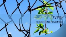  Presentation with barbed wire fence prison concept - Presentation design consisting of wire mesh fence mixed media background and a light blue colored foreground