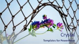  Presentation with steel - Cool new presentation design with wire mesh fence mixed media backdrop and a sky blue colored foreground