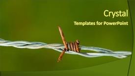  Presentation with spider web - Slide set featuring wire with a spider web background and a dark gray colored foreground