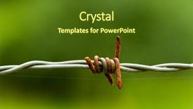  Presentation with spider web - Presentation featuring wire with a spider web background and a tawny brown colored foreground