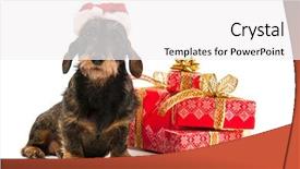  Presentation with lines red and white - Presentation theme consisting of funny girl fashion model waiting a kiss young beauty background and a soft green colored foreground