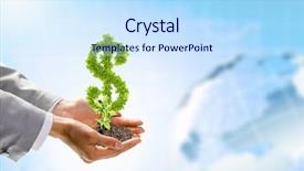  Presentation with hand holding plant - Audience pleasing slide set consisting of set of cereals peas rice millet chickpeas sprinkled in bamboo bowls backdrop and a light gray colored foreground