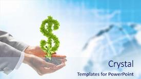  Presentation with hand holding plant - Cool new theme with wise investments - image of human hands holding backdrop and a  colored foreground