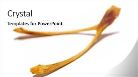  Presentation with history earth globe isolated white - PPT theme with wishbone isolated on white background background and a  colored foreground