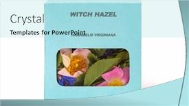  Presentation with herbs - Presentation having witch-hazel-medicinal-herbs background and a arctic colored foreground