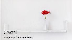  Presentation with flower on wall - Amazing PPT layouts having withe - decorative shelf on white wall backdrop and a white colored foreground