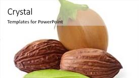  Presentation with seeds - Slide deck featuring withe - jojoba seeds isolated on white background and a white colored foreground