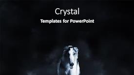  Presentation with wolf - Colorful theme enhanced with wolf-like-borzoi-hound-emerging backdrop and a black colored foreground