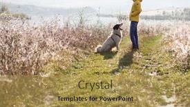  Presentation with social distancing - Theme consisting of woman-and-dog-in-autumn background and a yellow colored foreground