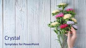  Presentation with chrysanthemum - Beautiful PPT theme featuring woman arranging bouquet of chrysanthemum backdrop and a sky blue colored foreground