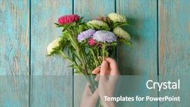  Presentation with chrysanthemum - Beautiful presentation featuring woman arranging bouquet of chrysanthemum backdrop and a gray colored foreground