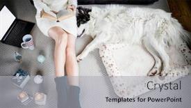  Presentation with dog christmas - Audience pleasing presentation theme consisting of woman-at-home-with-dog backdrop and a light gray colored foreground