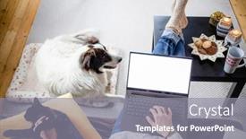  Presentation with guide dog helping blind woman - Beautiful theme featuring woman-at-home-with-dog backdrop and a gray colored foreground