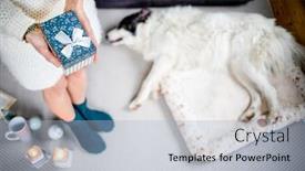  Presentation with dog christmas - PPT layouts with woman-at-home-with-dog background and a light blue colored foreground